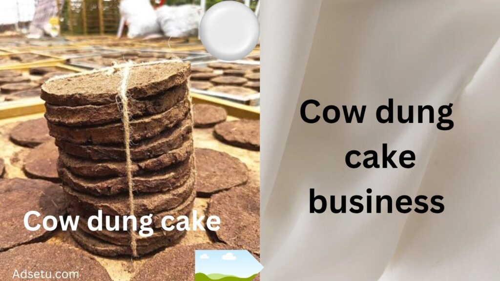 Cow dung cake business.