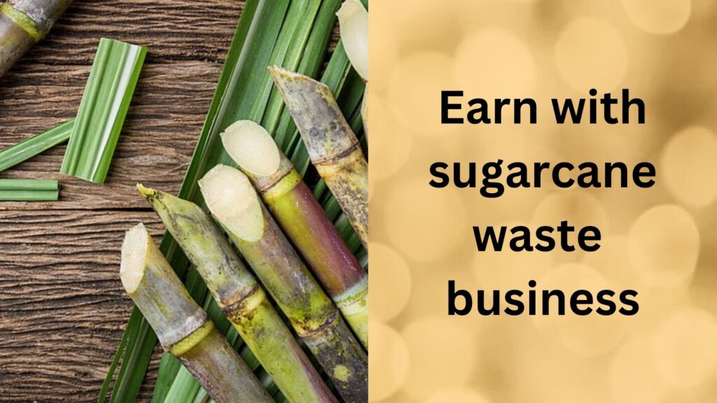 Sugarwaste business.